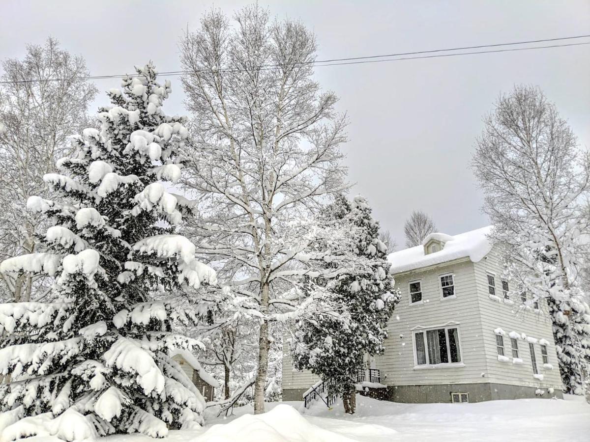 Chalet Banff - 6 Bedroom 6 Bathroom Ski Lodge نيسيكو المظهر الخارجي الصورة